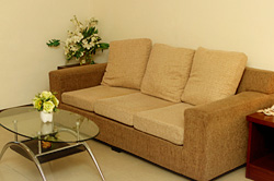 brown sofa