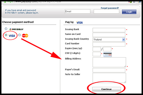 visa payment